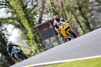 Oulton-Park-20th-March-2020;PJ-Motorsport-Photography-2020;anglesey;brands-hatch;cadwell-park;croft;donington-park;enduro-digital-images;event-digital-images;eventdigitalimages;mallory;no-limits;oulton-park;peter-wileman-photography;racing-digital-images;silverstone;snetterton;trackday-digital-images;trackday-photos;vmcc-banbury-run;welsh-2-day-enduro